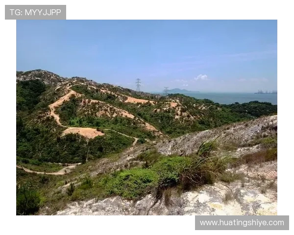 南京攀岩队技术解析：探索攀岩技巧与训练方法的深度研究