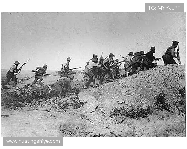 极限运动战术探秘南京极限运动队的创新阵地战体系解析