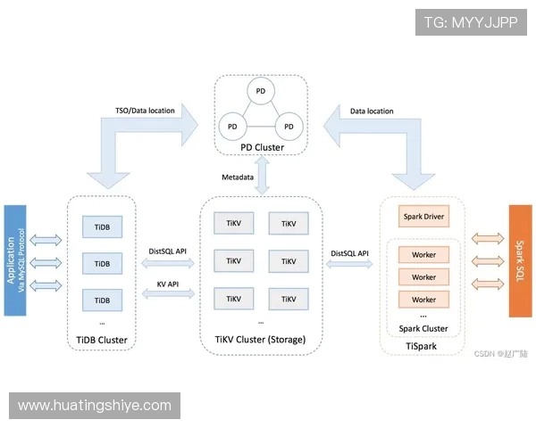 深入解析JDG战术布局与对手策略的全面对比分析