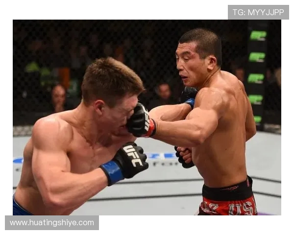 张立鹏与洪永基巅峰对决谁将成为拳坛新星的领军人物