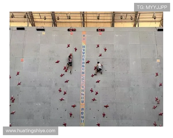 南京攀岩队在世界攀岩锦标赛中的速度表现分析与点评 南京攀岩队在世界攀岩锦标赛中的速度表现分析与点评